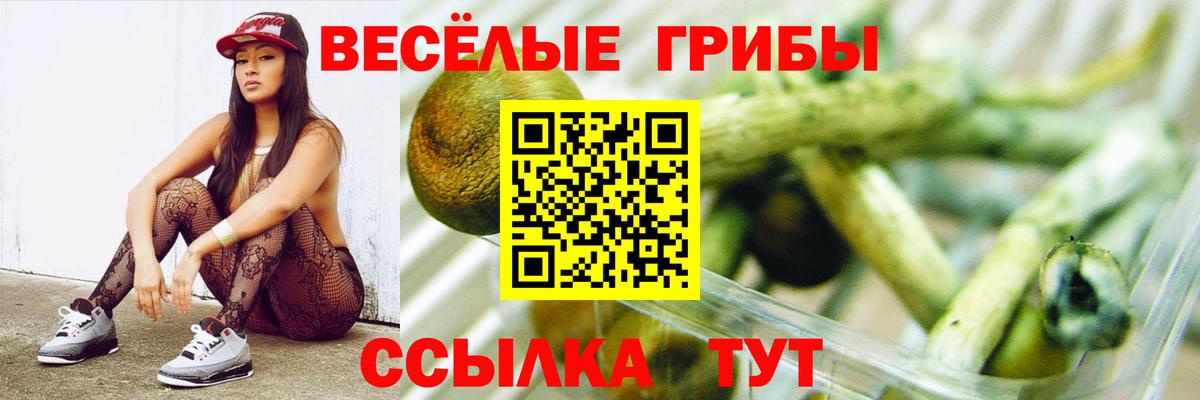 сколько стоит  Вход с VPN  Тихорецк  Галлюциногенные грибы Psilocybe 
