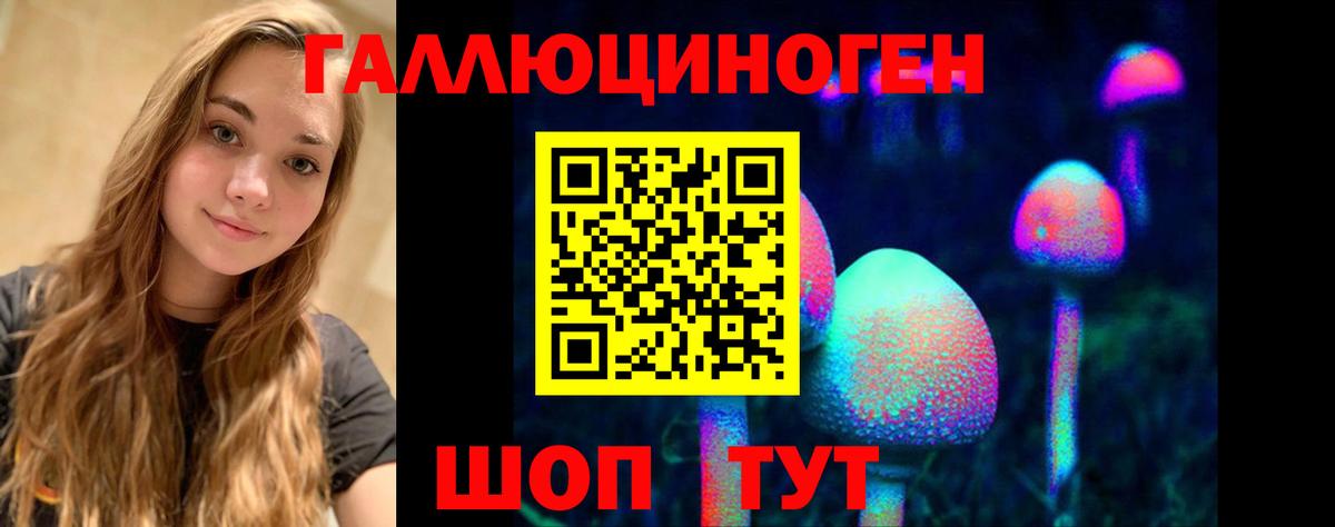 Псилоцибиновые грибы Cubensis Тихорецк